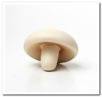 MFR-020 Mushroom